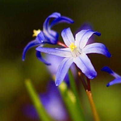 6566体育手机app下载