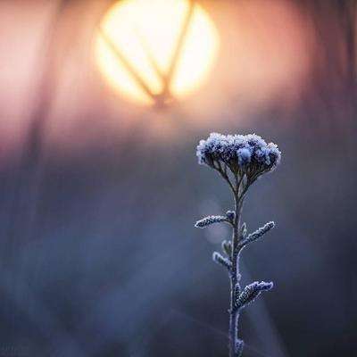 皇冠welcome下载app下载