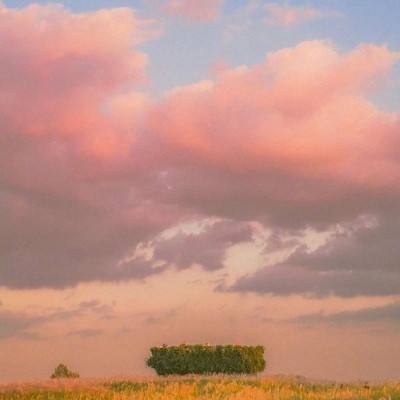 今期澳门三肖三码开一码手机app下载