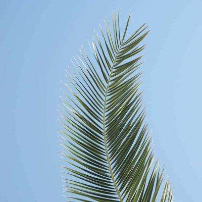 金沙8888js官方截图