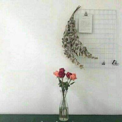 云开平台app官方最新版本