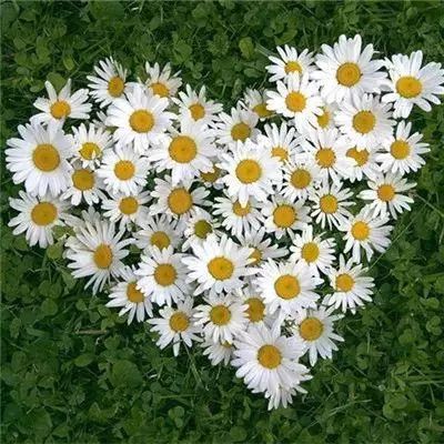 一分钟彩票app下载